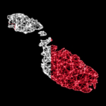 Affermata società maltese di scaffalature